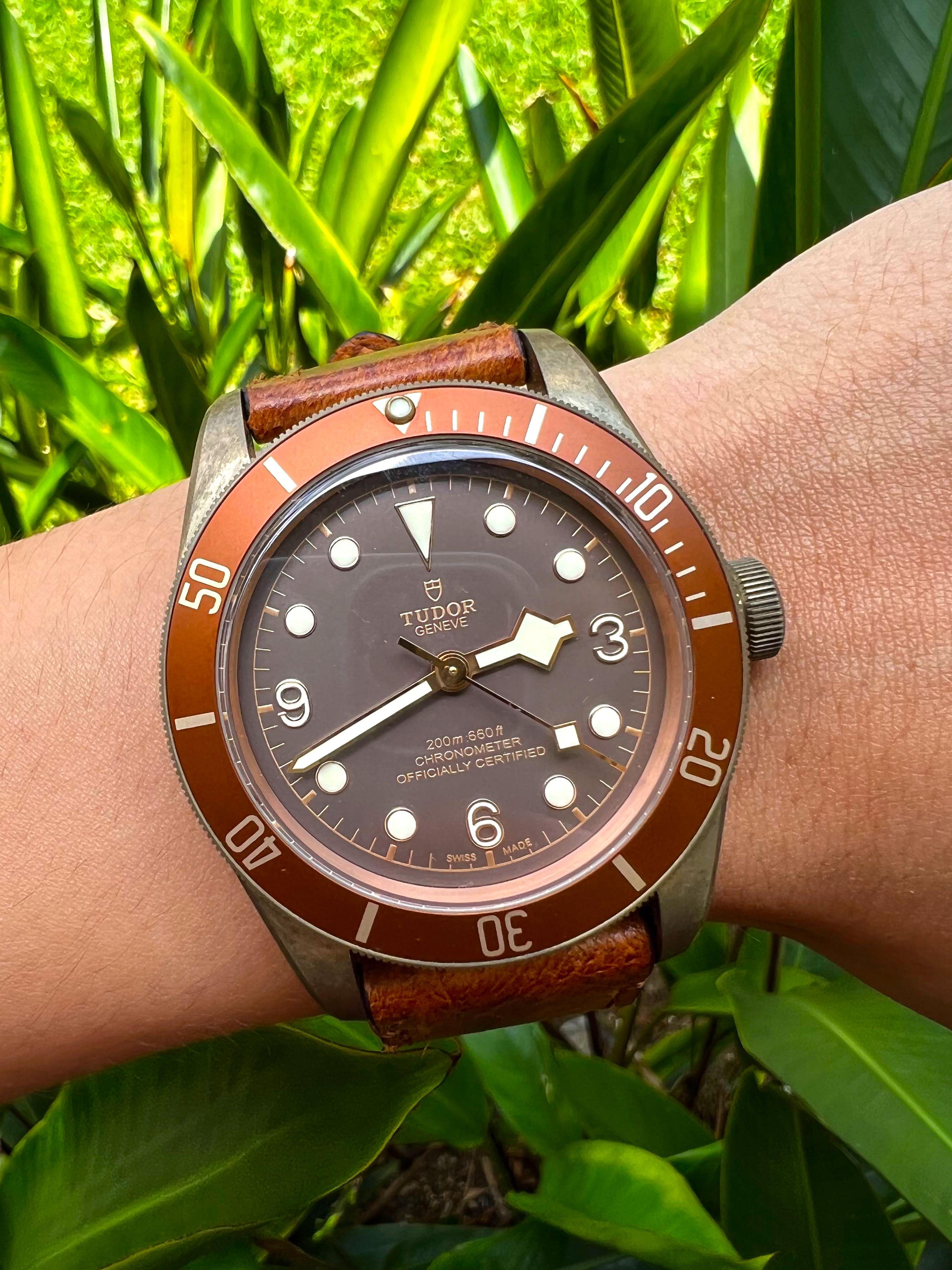 Tudor black store bay bronzo