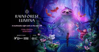 Cheapest|Rainforest Lumina