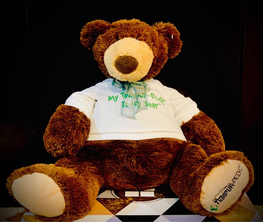 Tempurpedic bear hot sale