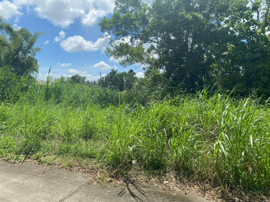 11k/sqm Lot for Sale in Metrogate Silang Estates, Silang, Cavite