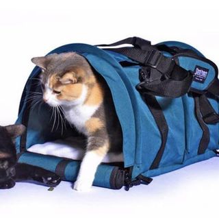 (Category: ) located in . Submitted by livelikeanomad (Listing ID 1132856966, Image 1). Description: .