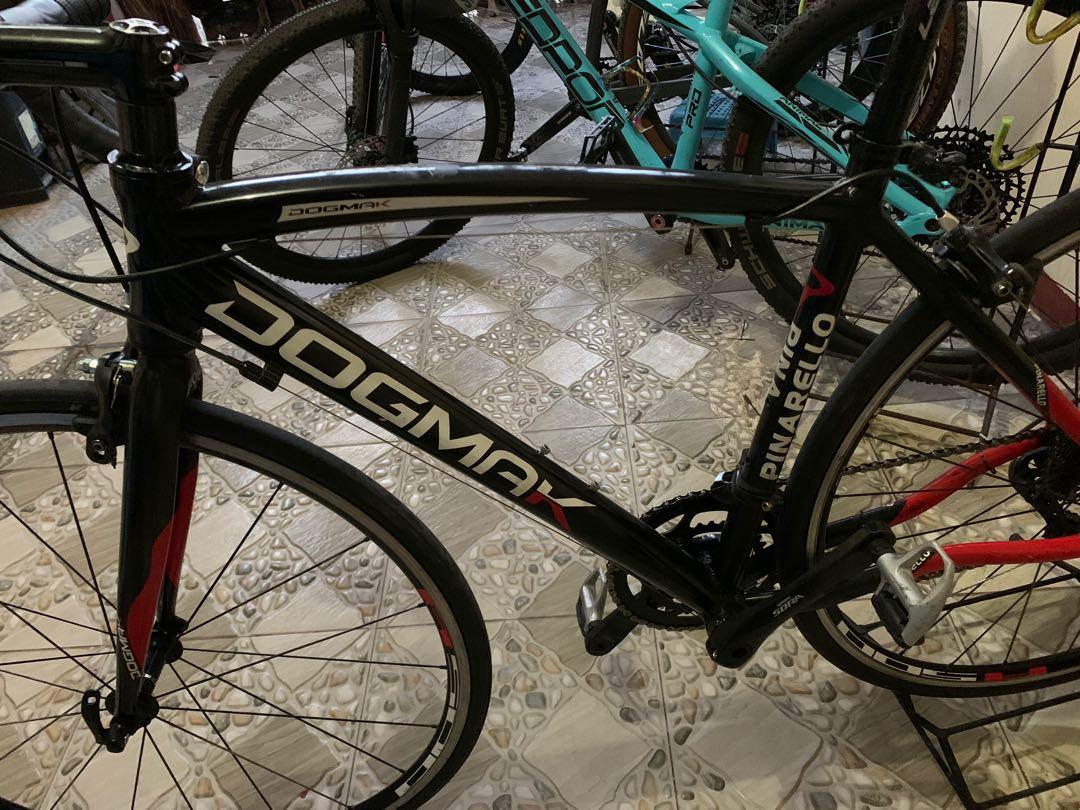 Dogmak shop pinarello price