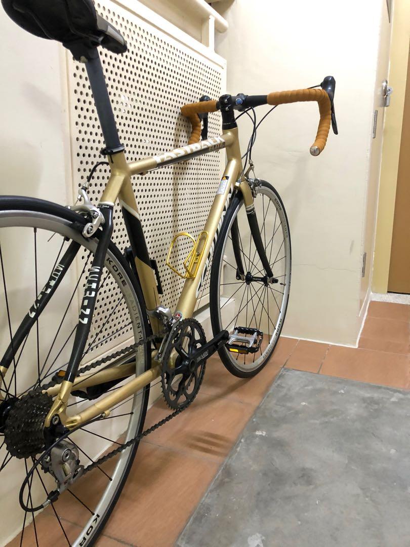 schwinn fastback elite