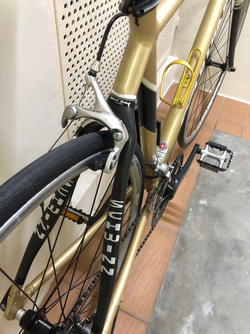 schwinn fastback elite