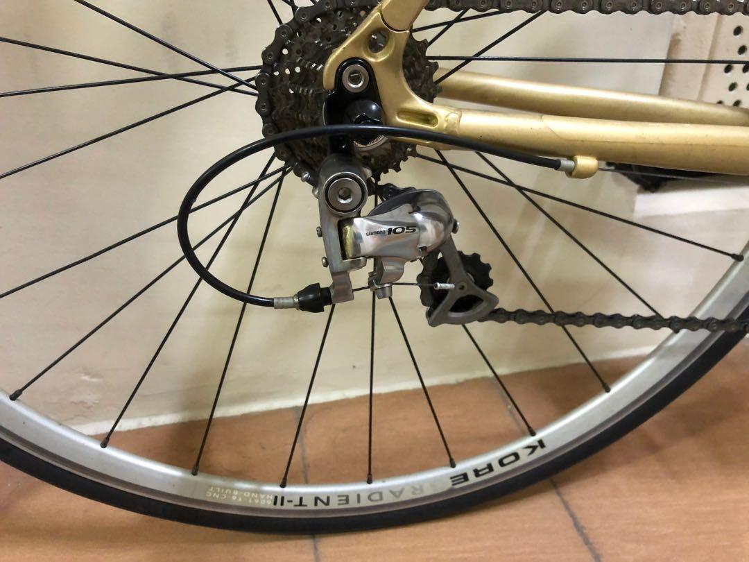schwinn fastback elite