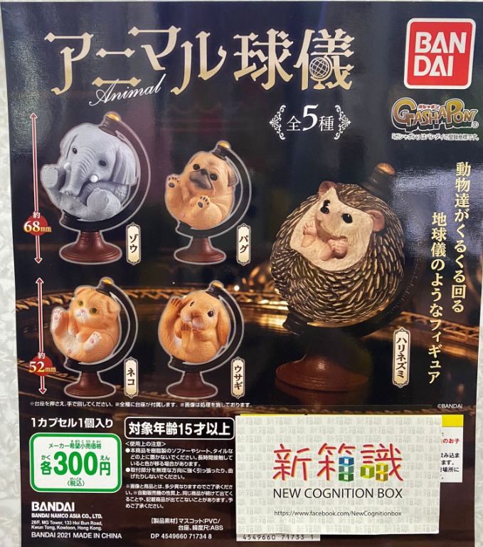 新箱識現貨行版一套5款動物地球儀animal 6 8cm 大象5 2cm 刺蝟兔仔貓狗箭豬 興趣及遊戲 玩具 遊戲類 Carousell