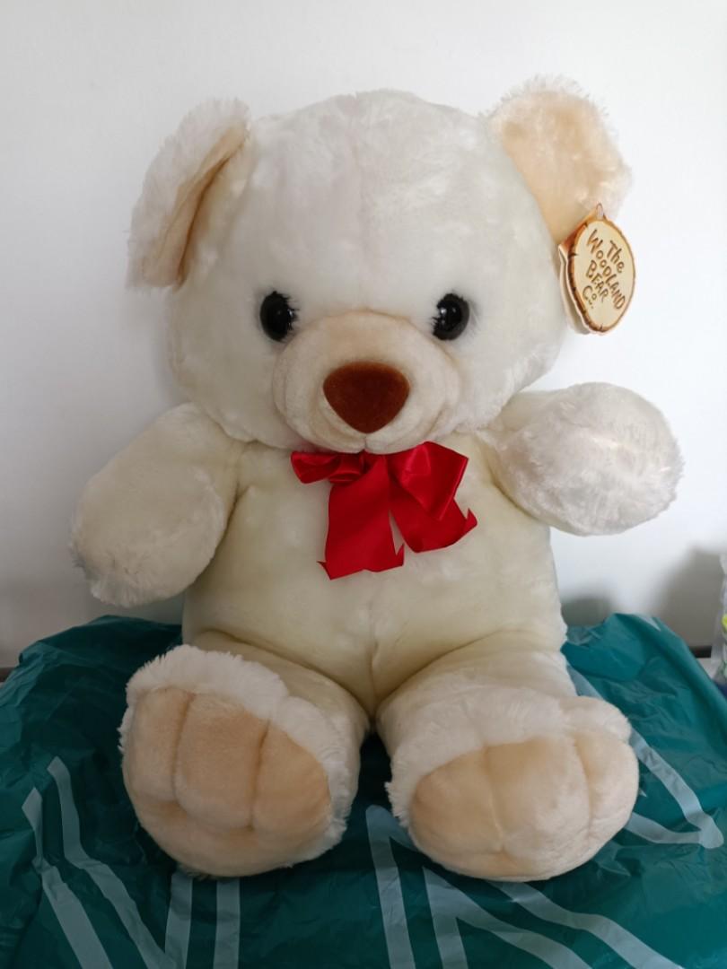big cuddly teddy bear