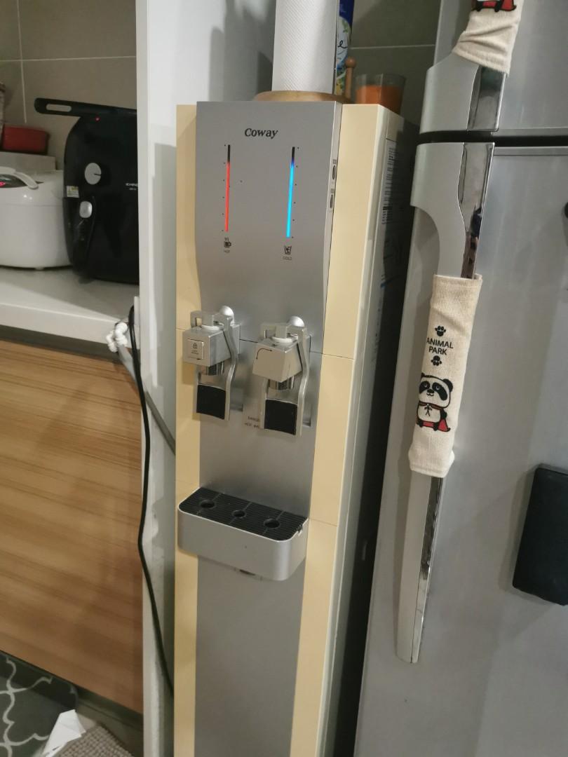 Coway Water Filter Sally
