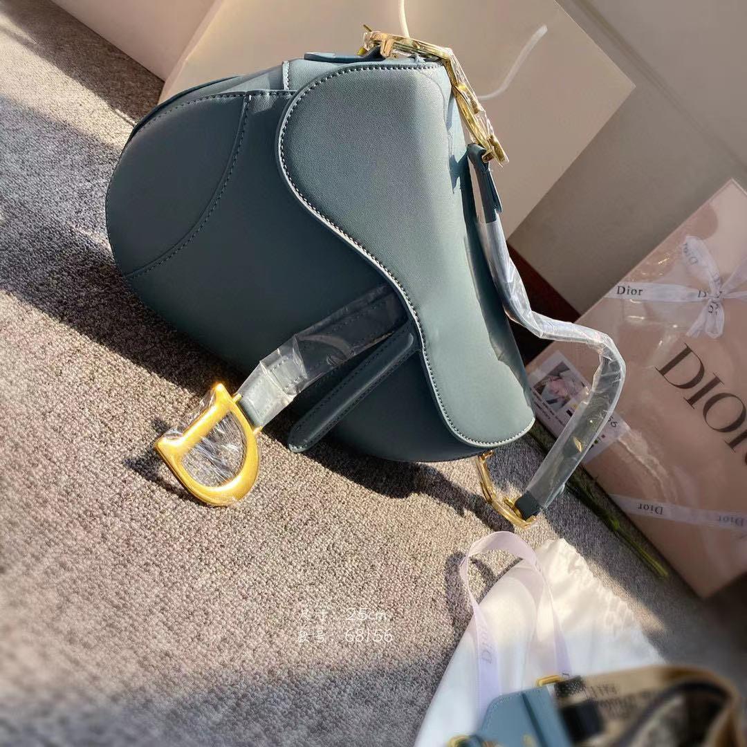 Dior Saddle, Women's Fashion, Bags & Wallets on Carousell