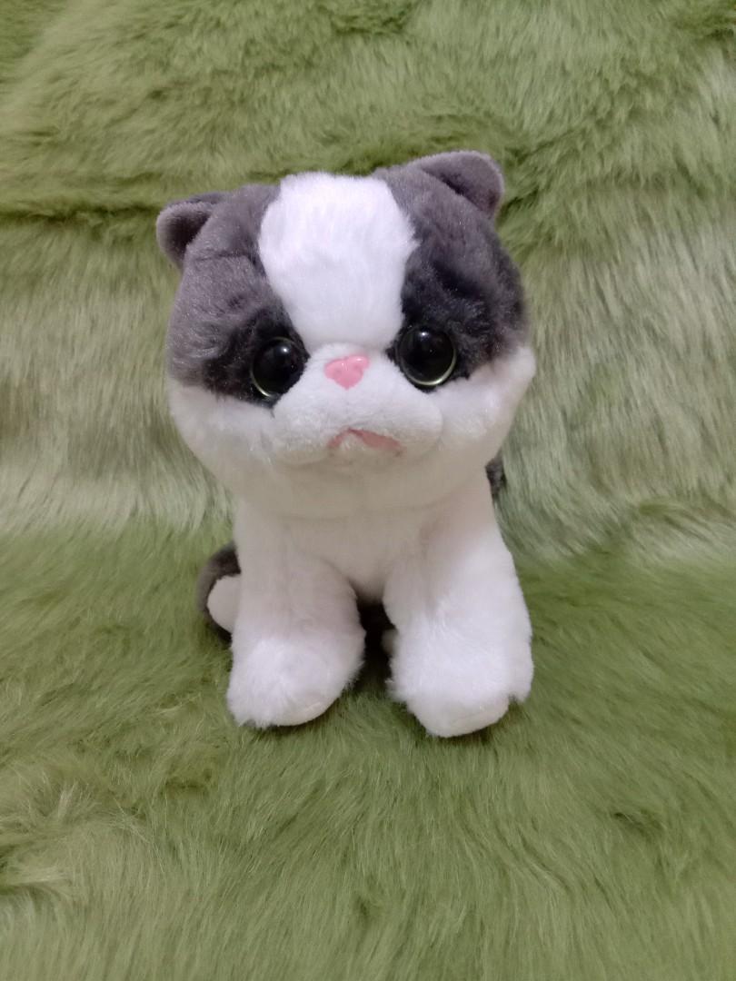 TY CAT BEANIE BOOS 6 INCHES Hobbies Toys Toys Games on