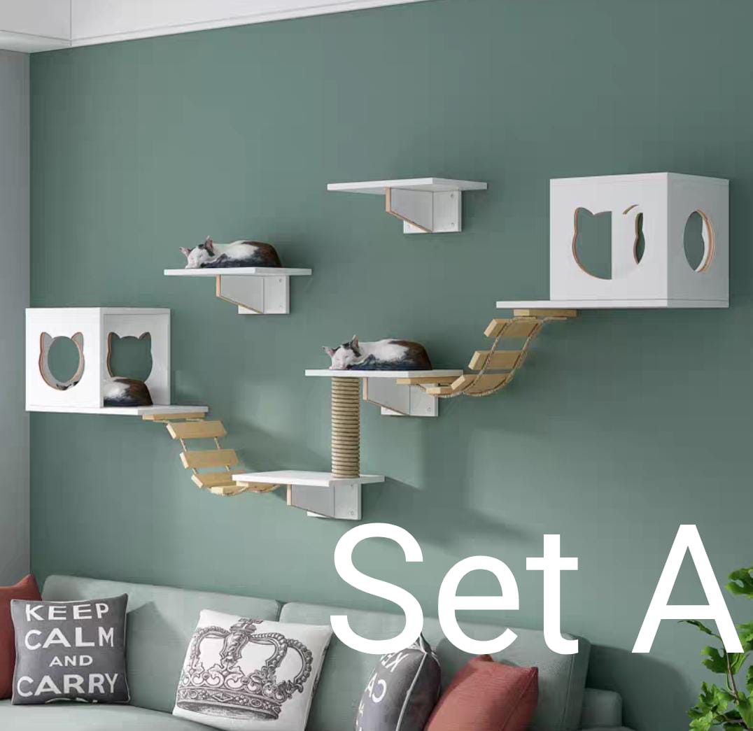 Cat top wall condo