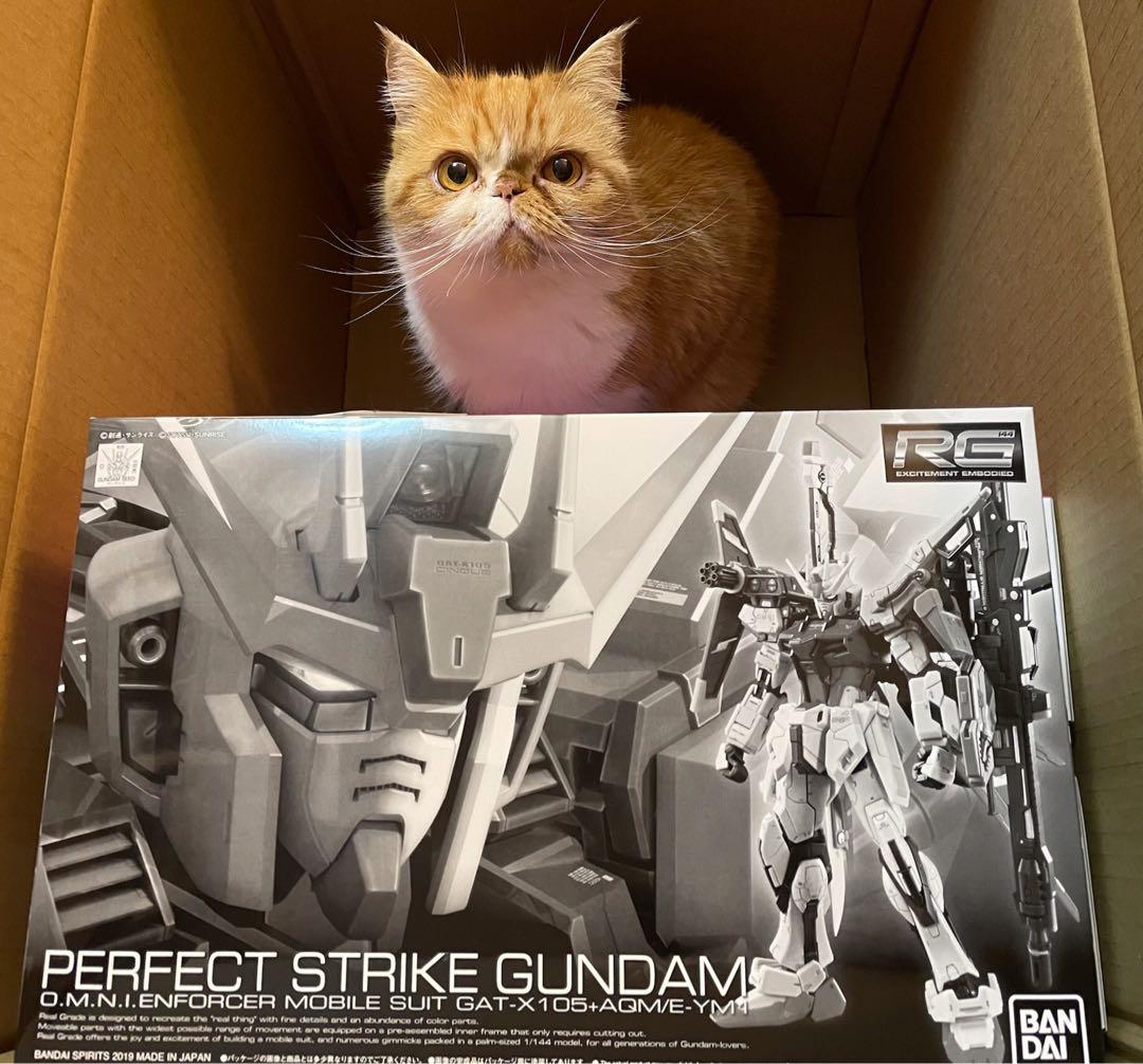 現貨RG 1/144 PERFECT STRIKE GUNDAM完美突擊高達, 興趣及遊戲, 玩具& 遊戲類- Carousell