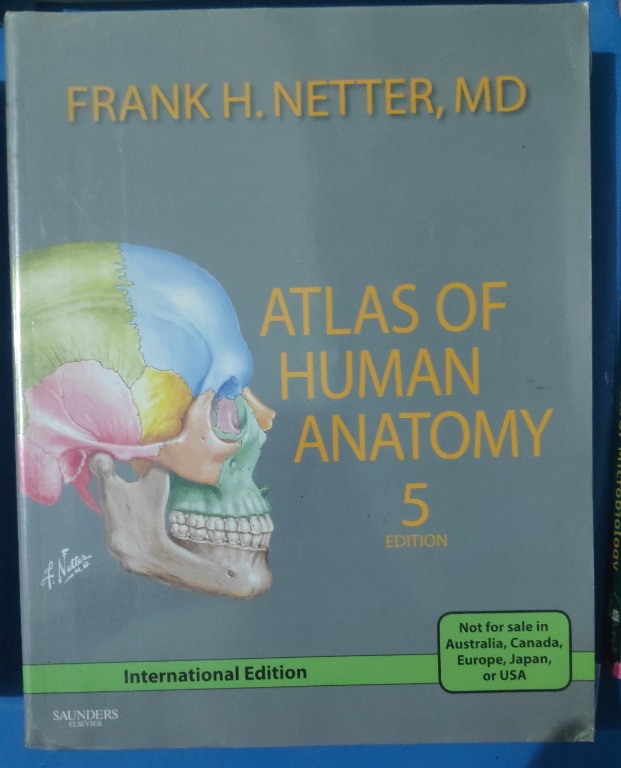 Atlas of Human Anatomy (5th edition) by Frank Netter, Hobbies & Toys ...