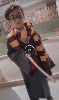 Harry Potter Gryffindor Costume
