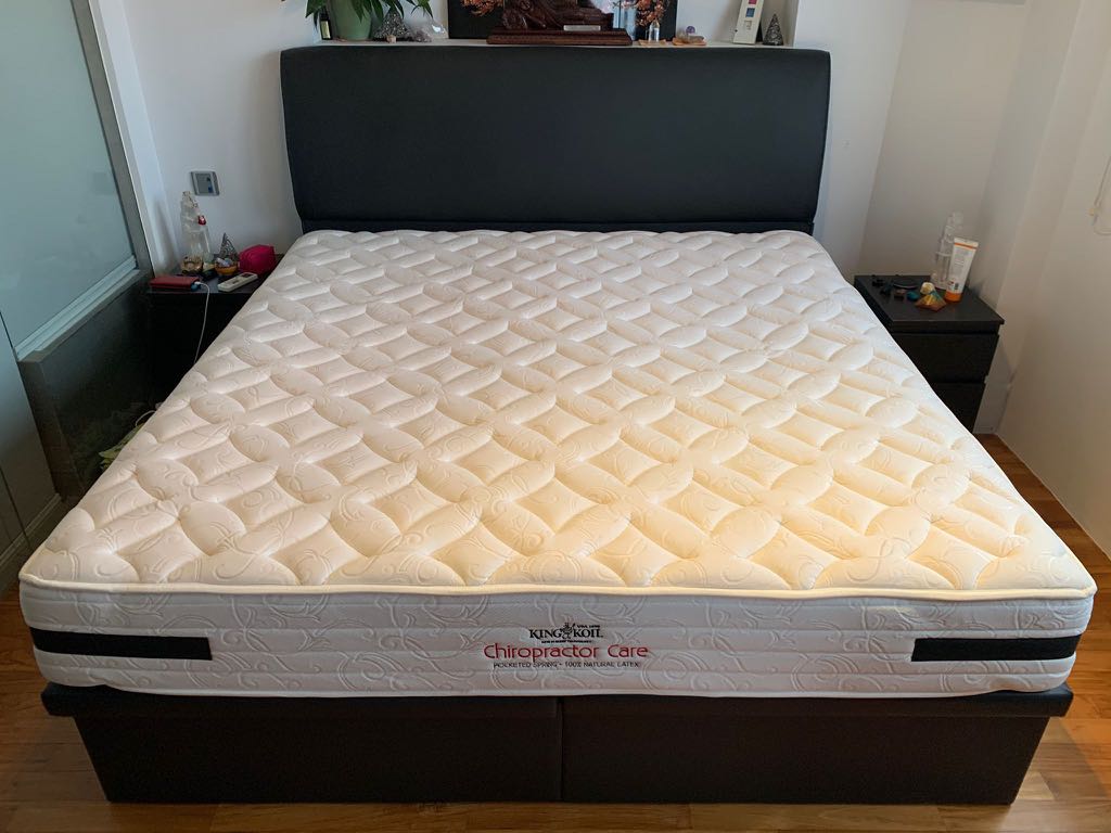 King koil chiropractic shop mattress