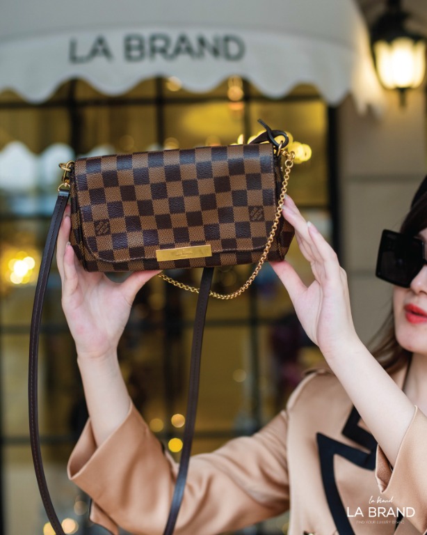 LOUIS VUITTON Favorite PM Bag in Damier Ebene Canvas