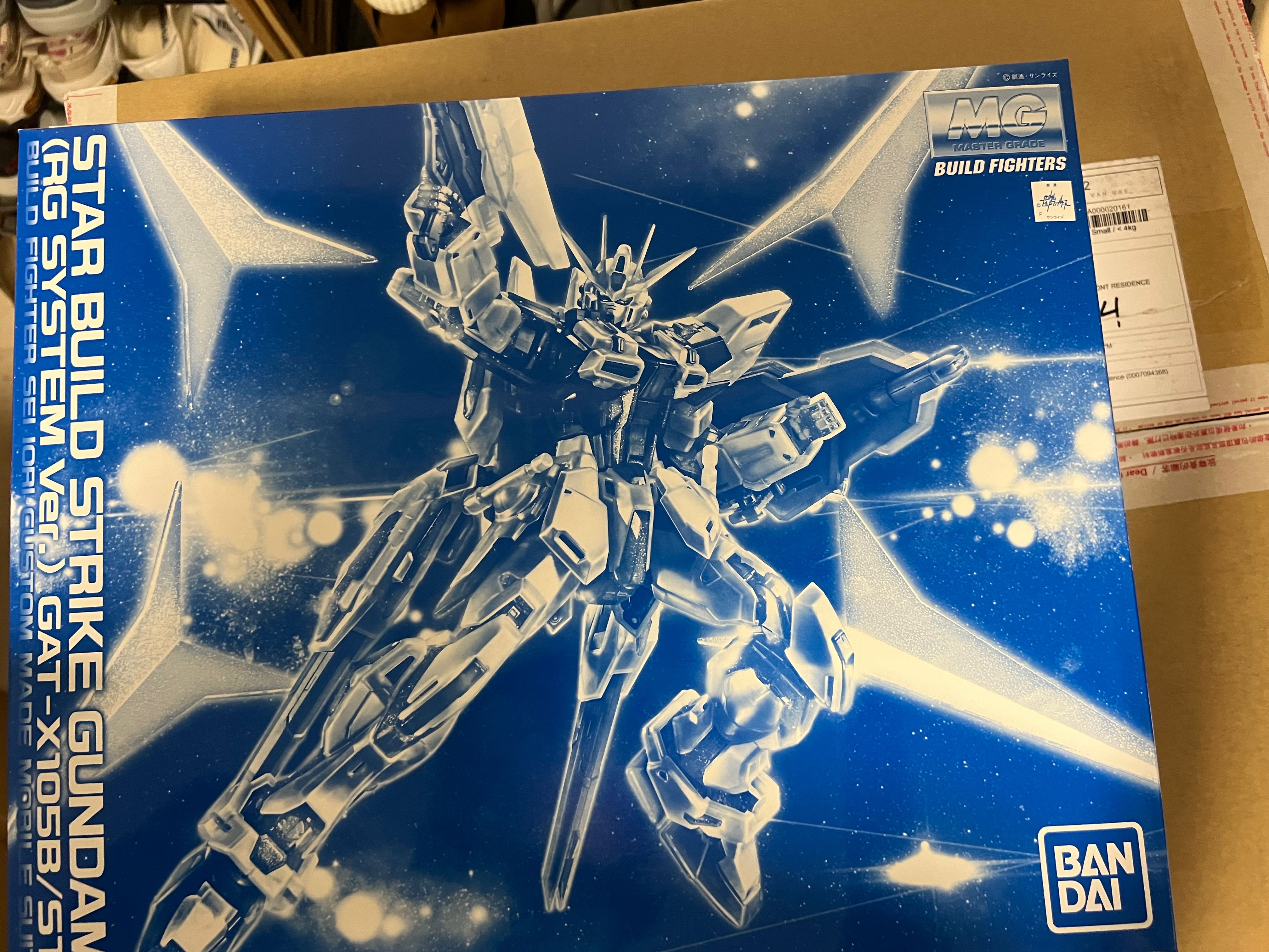 Mg Star Build Strike Gundam Rg System Ver P Bandai Exclusive Gundam