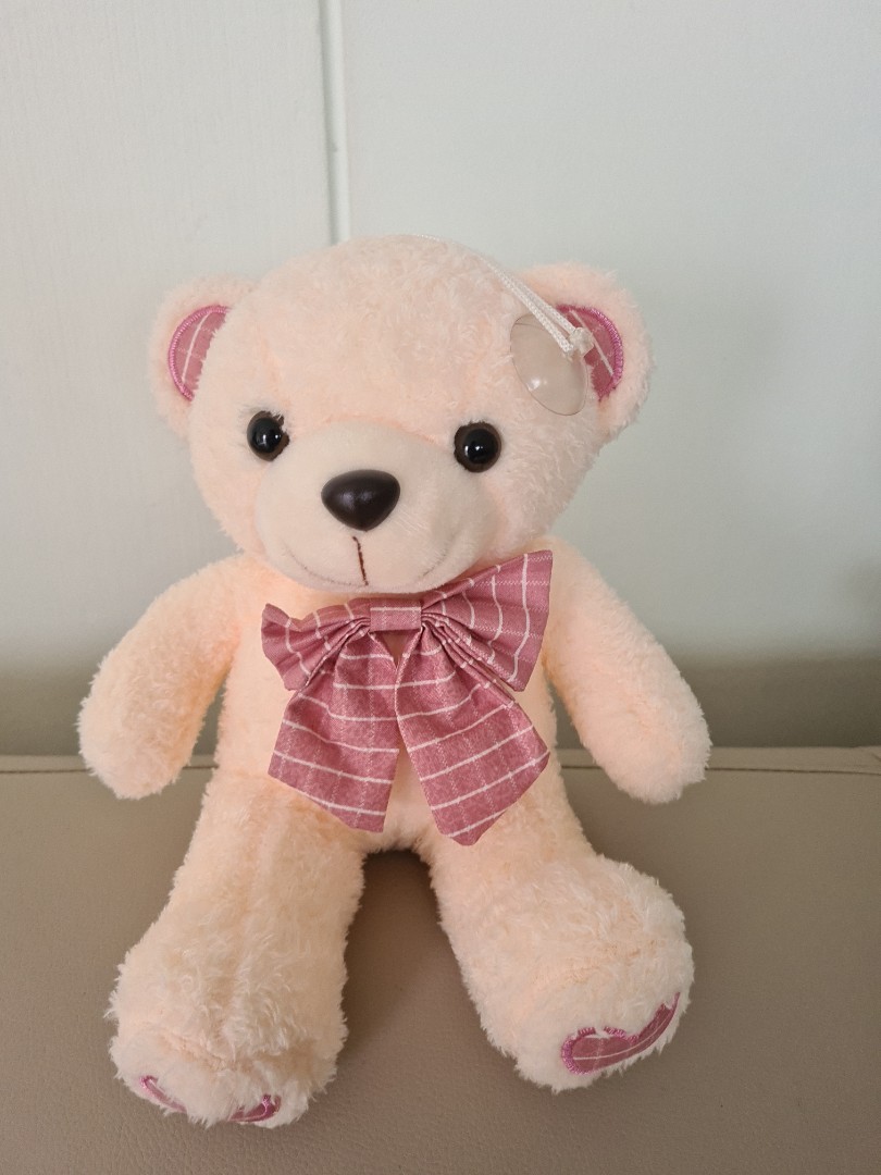 small teddy bear pink