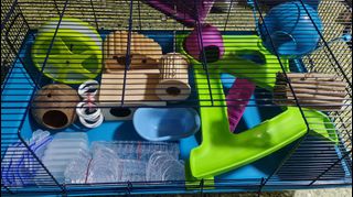 (Category: ) located in . Submitted by MMoon (Listing ID 1133229938, Image 1). Description: .