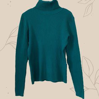Turtleneck knitwear (petite)