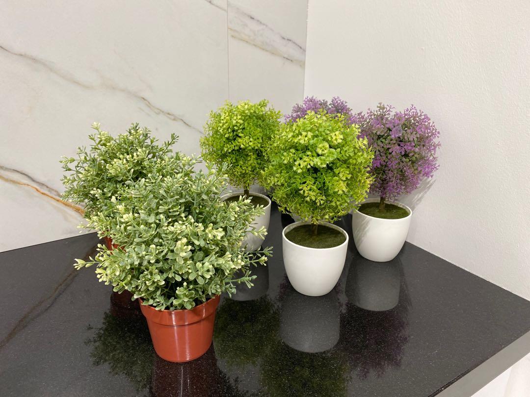 Used Artificial Plants, Furniture & Home Living, Home Decor, Artificial