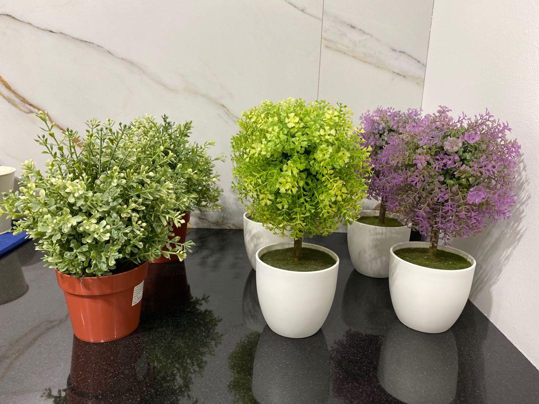 Used Artificial Plants, Furniture & Home Living, Home Decor, Artificial