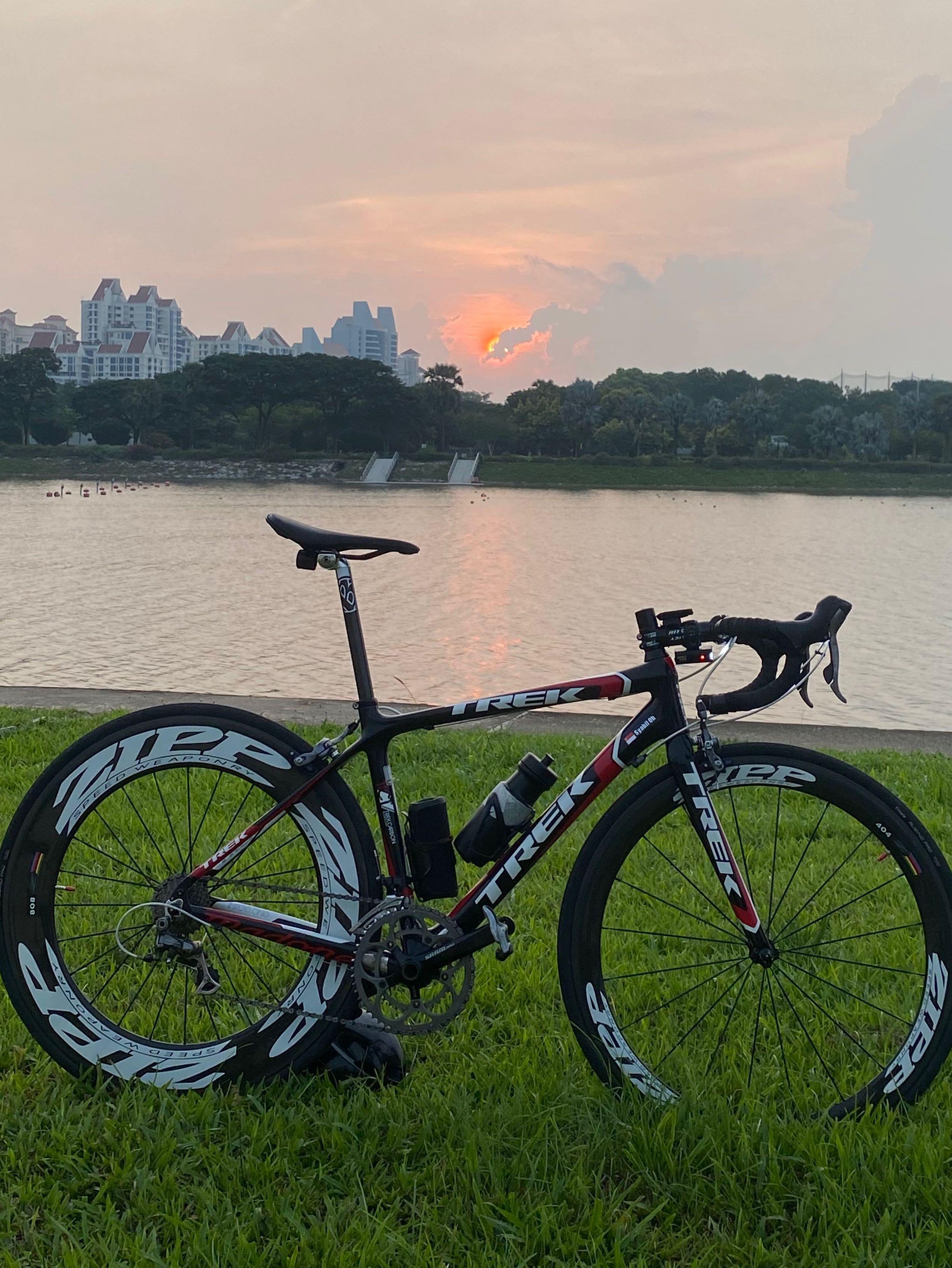 Trek madone 3.1 road discount bike