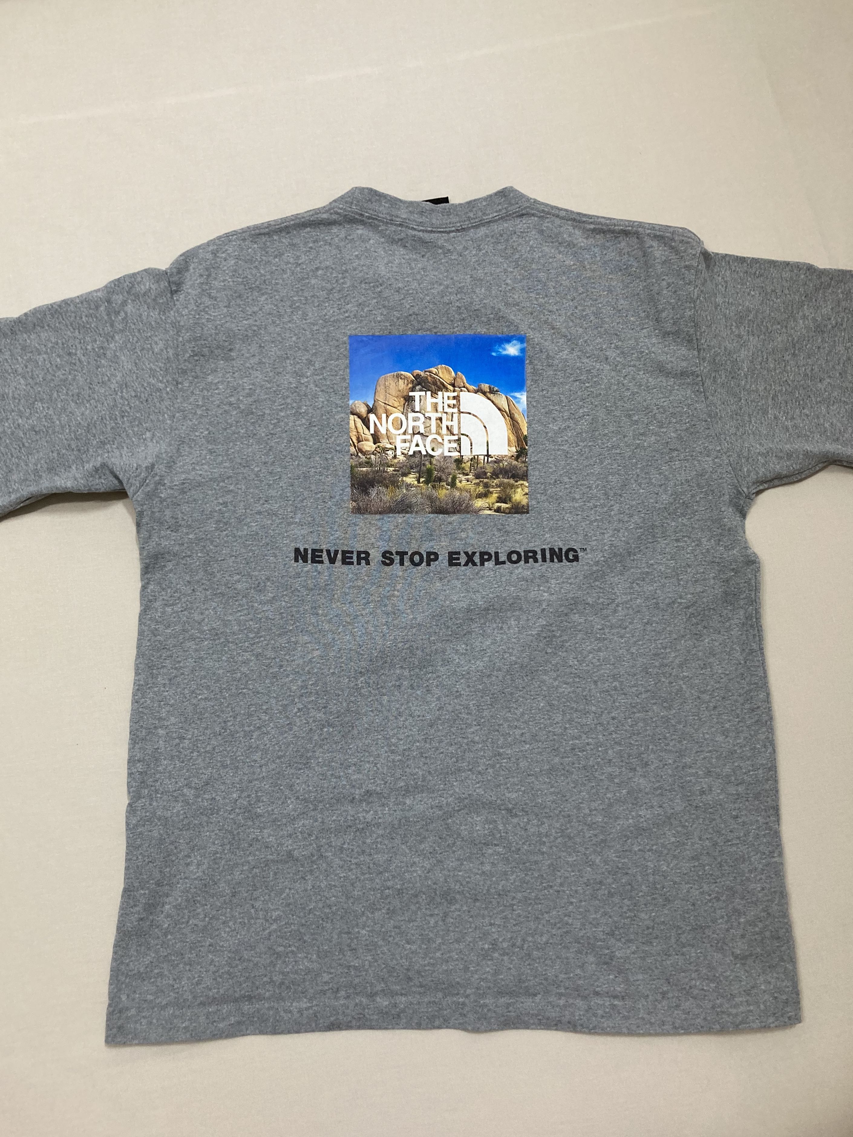 North face joshua tree shirt top