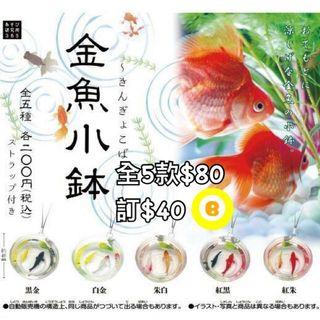 極簡舍物生活 興趣及遊戲 書本 文具 書本及雜誌 補充練習 Carousell