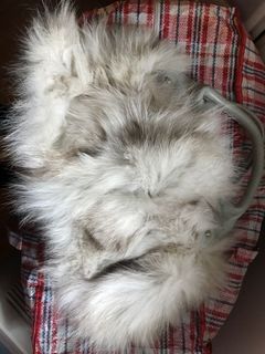 （分類：）位於 。 由 amarapen 提交（商品編號 1133309454，圖片 1）。簡介： 。