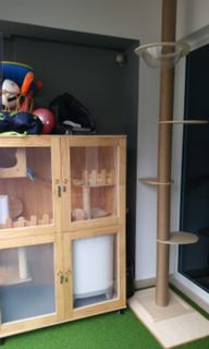 (Category: ) located in . Submitted by diz07 (Listing ID 1133514804, Image 1). Description: .