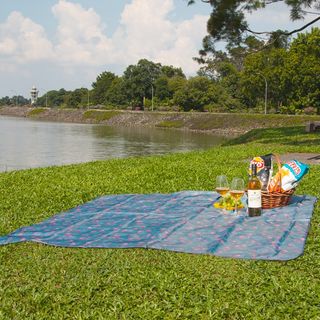 (Category: ) located in . Submitted by ispring.sales22 (Listing ID 258935691, Image 1). Description: .