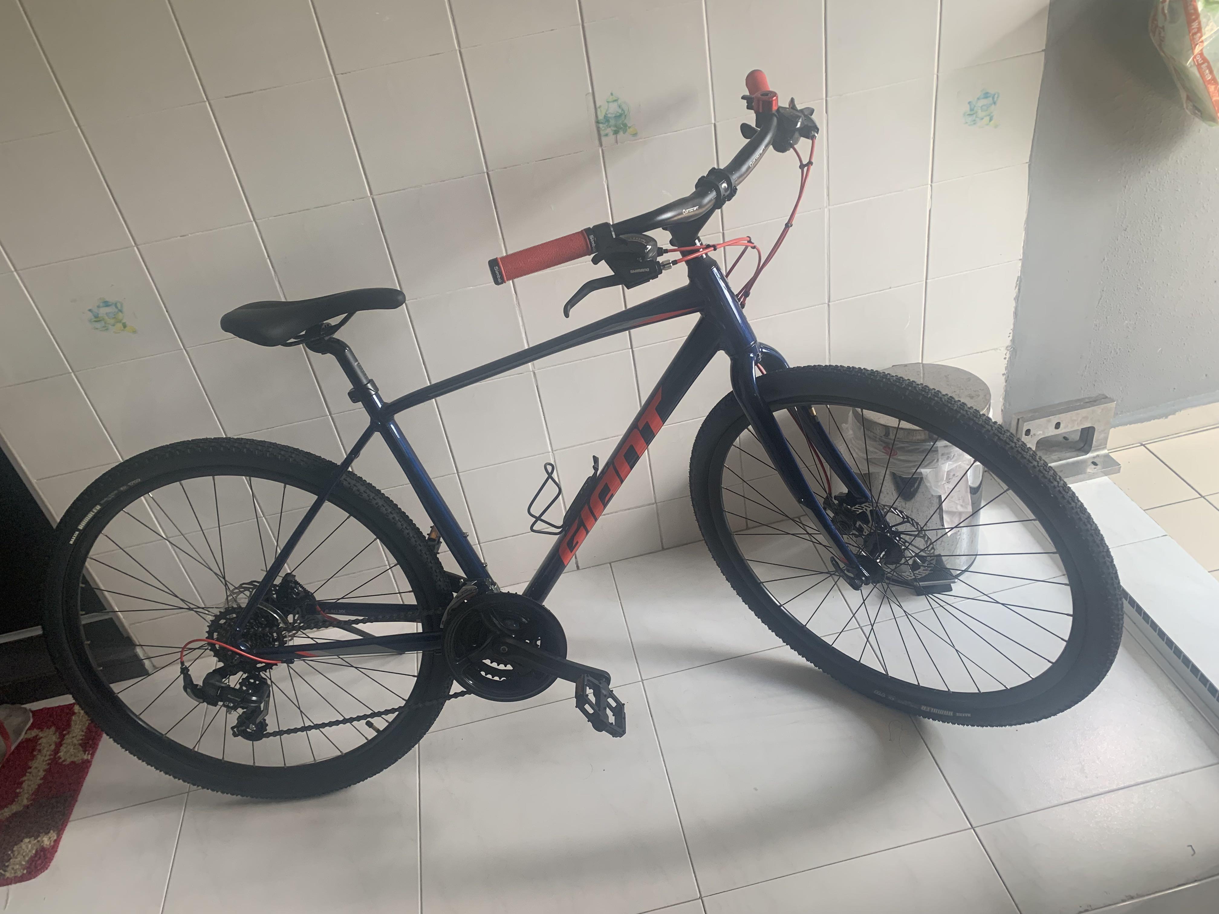 Giant Escape 2 (2021) Hybrid Bike - M 