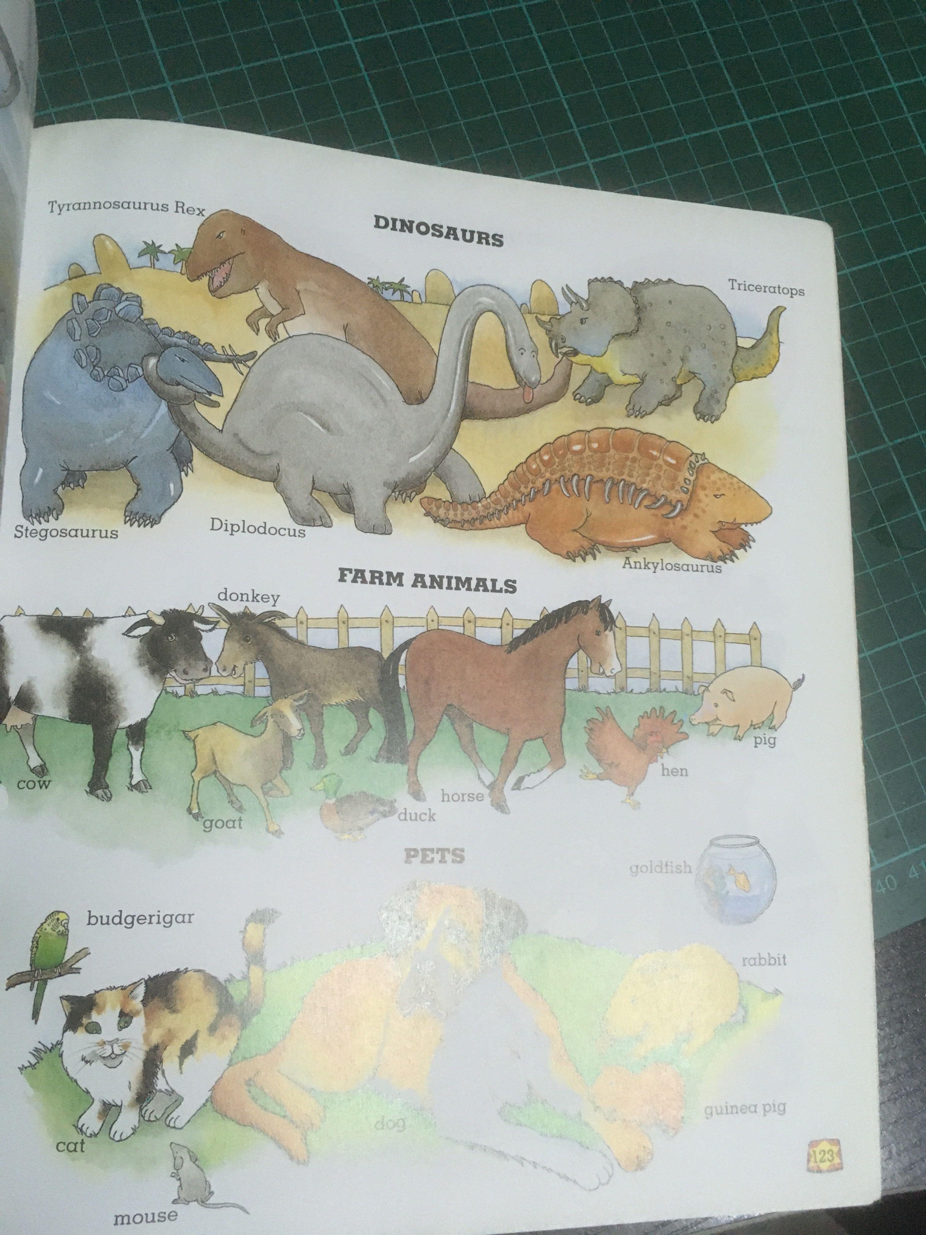 Oxfords First Dictionary., Hobbies & Toys, Books & Magazines, Children