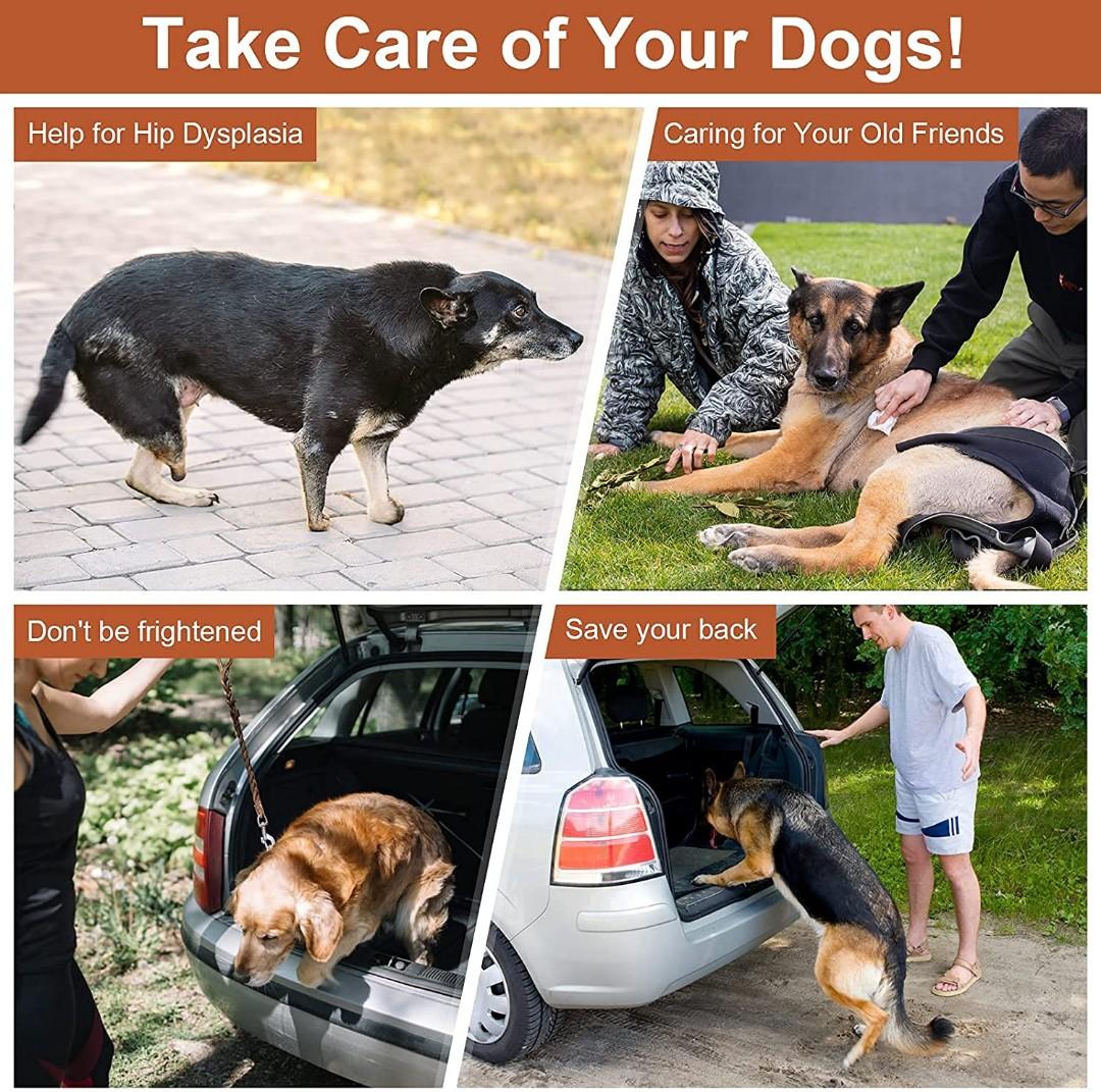 SEEZSSA Dog Car Ramp, Upgraded 5 Steps Dog Stairs for Medium and Large