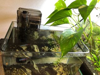 (Category: ) located in . Submitted by mameemoo (Listing ID 1133527730, Image 1). Description: .
