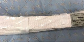 BJJ Belt (A0 available)