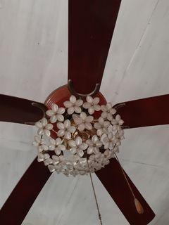 Ceiling light with fan