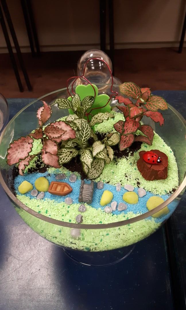 DIY Terrarium Therapy, Furniture & Home Living, Gardening, Plants