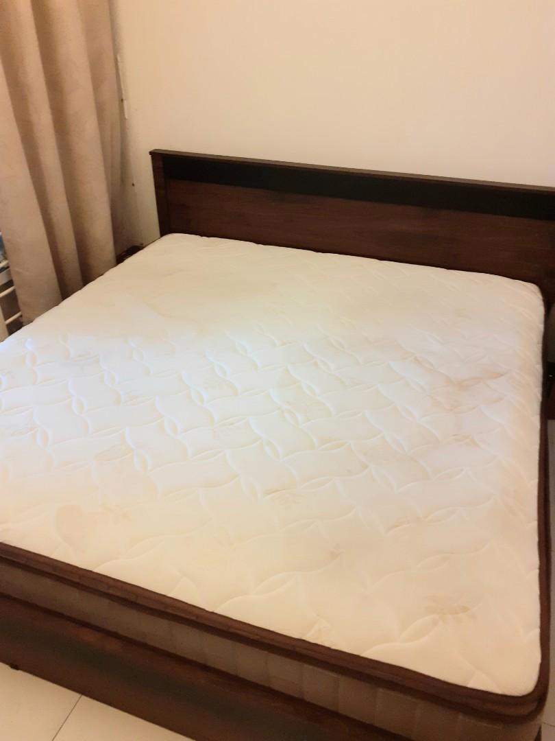 Imported Bed Foam and Frame- size 72 X 