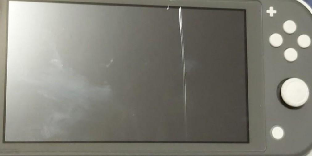Nintendo switch online lite $150