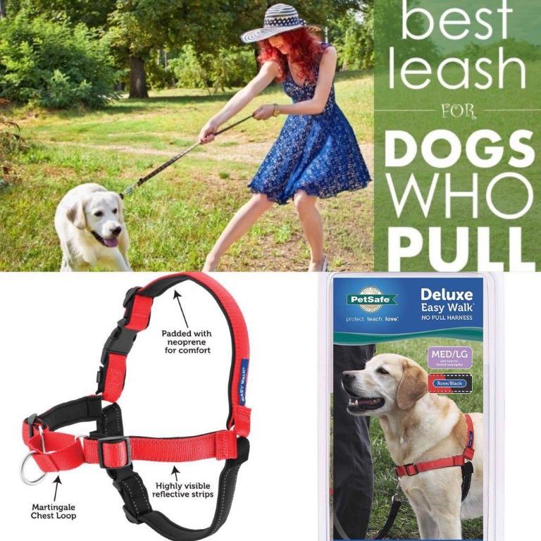 Petsafe Deluxe Easy Walk M Size Red 狗用胸背中碼紅色 寵物用品 寵物家品及其他 Carousell