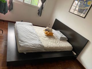 (Category: ) located in . Submitted by domloh (Listing ID 1133630706, Image 1). Description: .