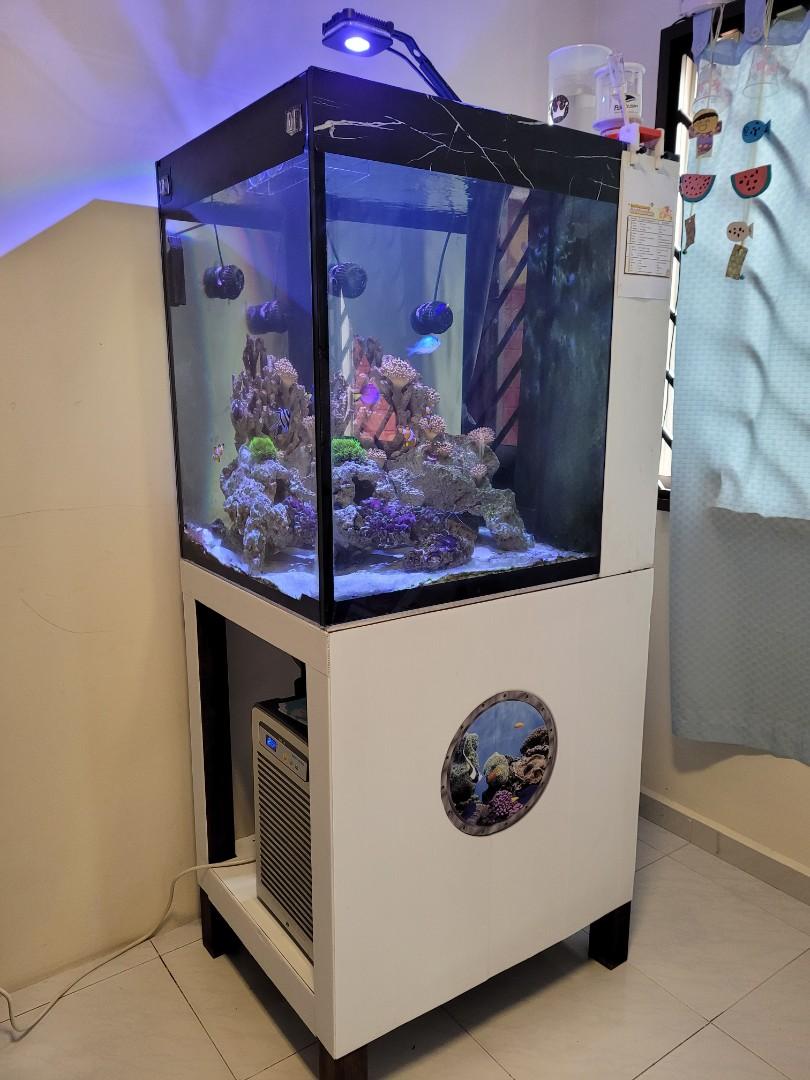 salt water tank systems