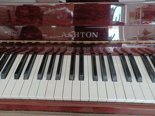 Used Ashton piano 🎹