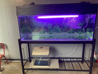(Category: ) located in . Submitted by kay2503 (Listing ID 1133866128, Image 1). Description: .