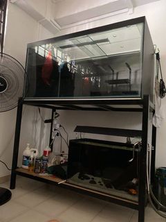 (Category: ) located in . Submitted by geopum07 (Listing ID 1133834043, Image 1). Description: .