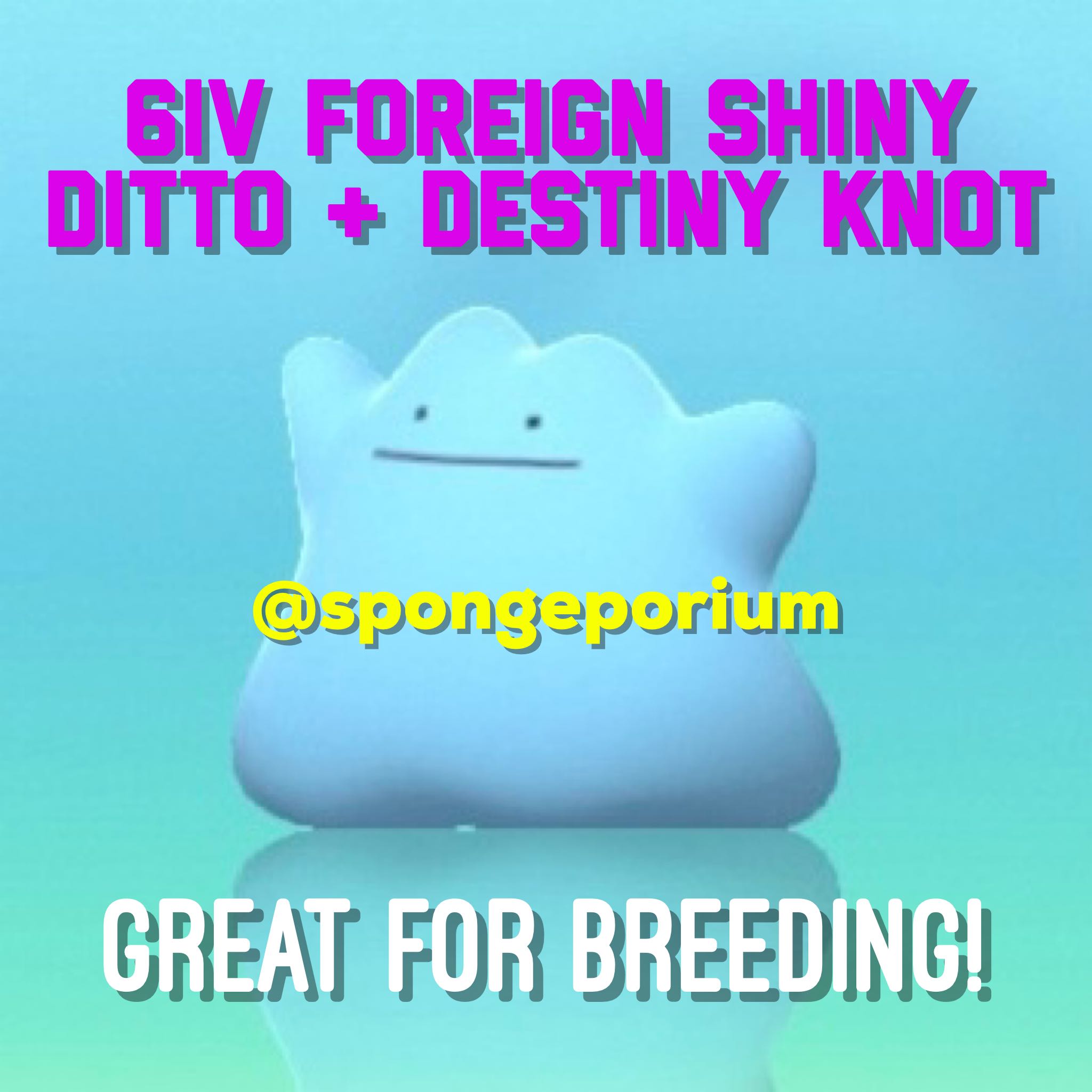Pokemon Brilliant Diamond and Shining Pearl Shiny Ditto with Destiny Knot  6IV