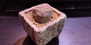 （分類：）位於 。 由 been6224 提交（商品編號 1133820923，圖片 1）。簡介： 。