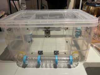 （分類：）位於 。 由 suitable4uuuu 提交（商品編號 1133840251，圖片 1）。簡介： 。